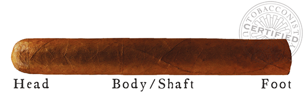 Cigar Anatomy - Head Body Foot